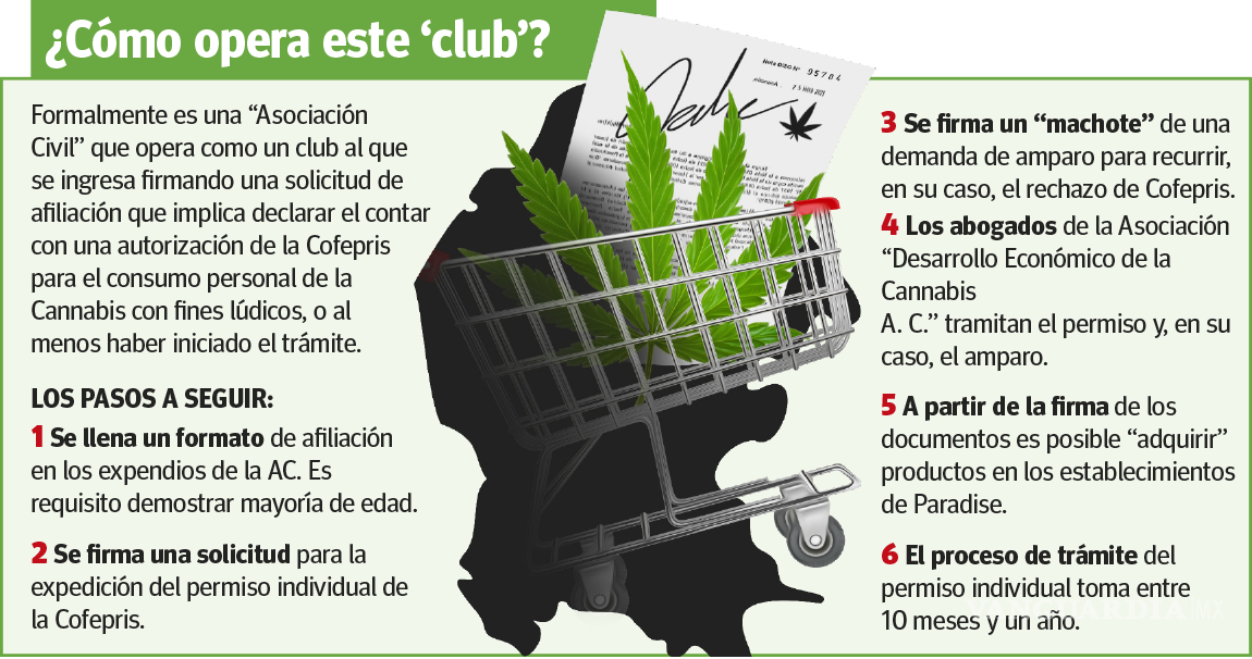 $!Saltillo: disfrazan con clubes ‘venta’ de mariguana en tiendas Paradise