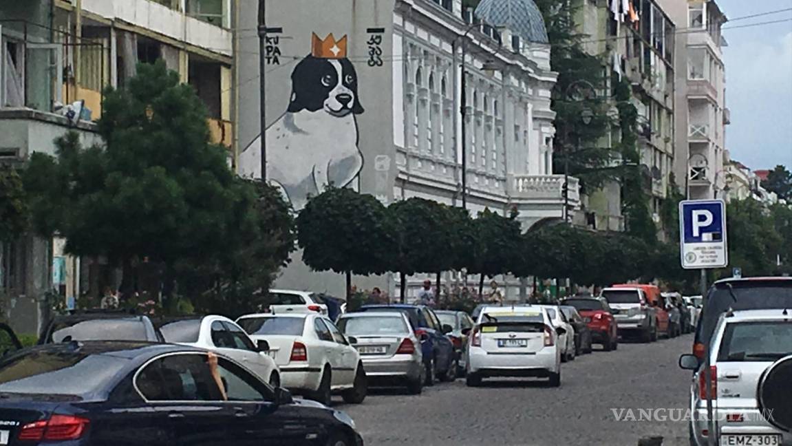 $!Un grafiti del perro Kupata, una estrella en Batumi después de que se hiciera viral un vídeo en el que ayuda a unos niños a cruzar la calle. EFE/Misha Vignanski