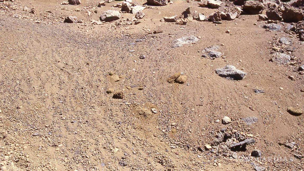 $!Robot explorador encuentra misteriosas franjas en piedra de Marte