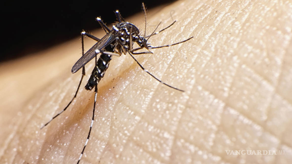 $!Previenen en Coahuila el dengue, zika y chikungunya