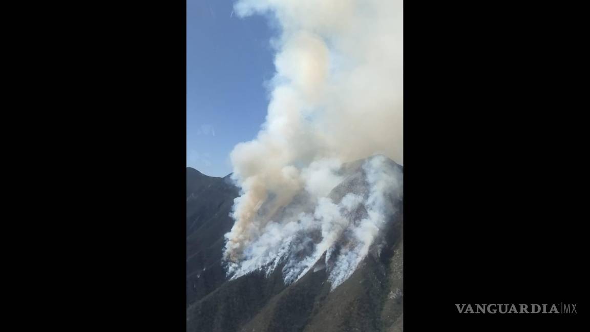 Más de 100 hectáreas afectadas por incendio forestal en Santa Catarina