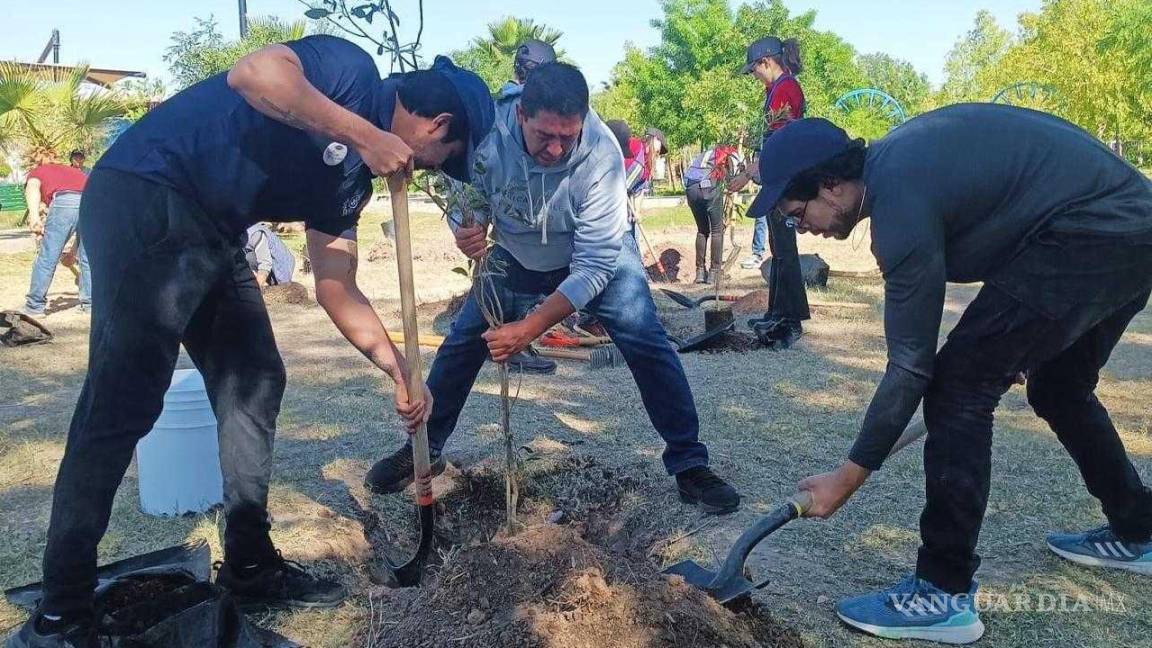 Con jornada de reforestación, celebrarán en Torreón el ‘Día Internacional de la Tierra’
