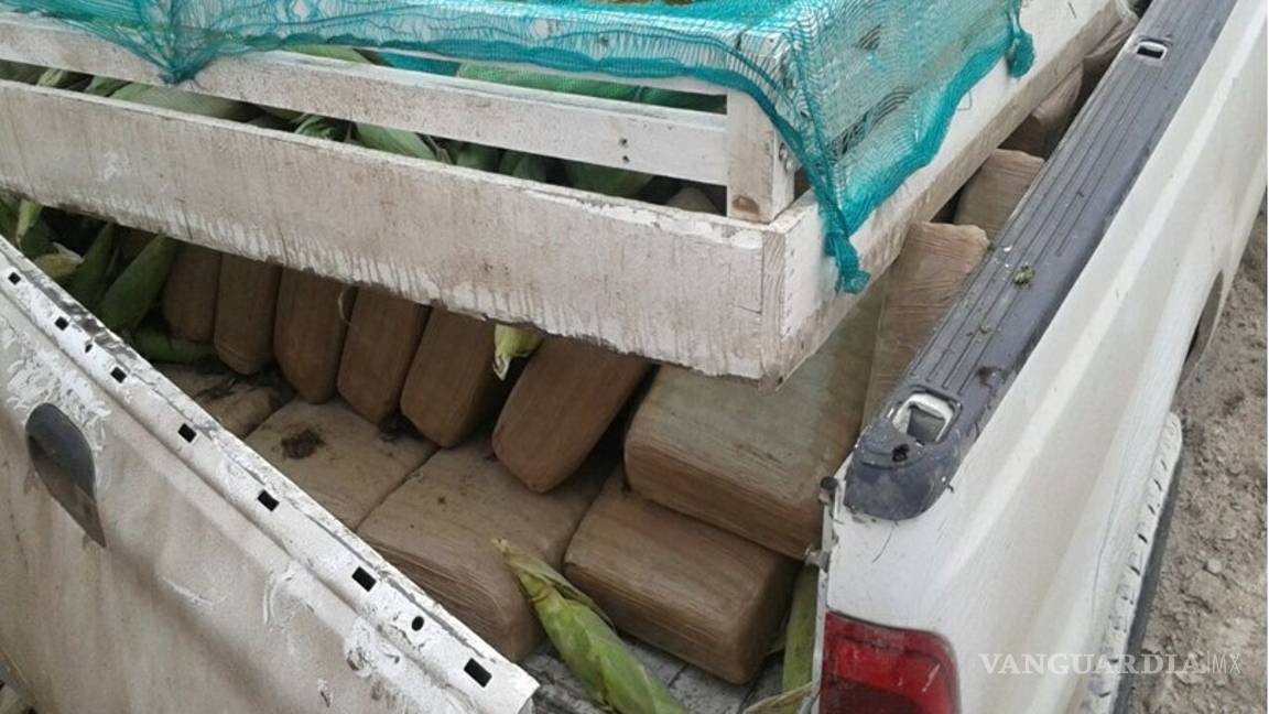 $!Incautan más de media tonelada de mariguana en Nuevo León; el destino era Saltillo