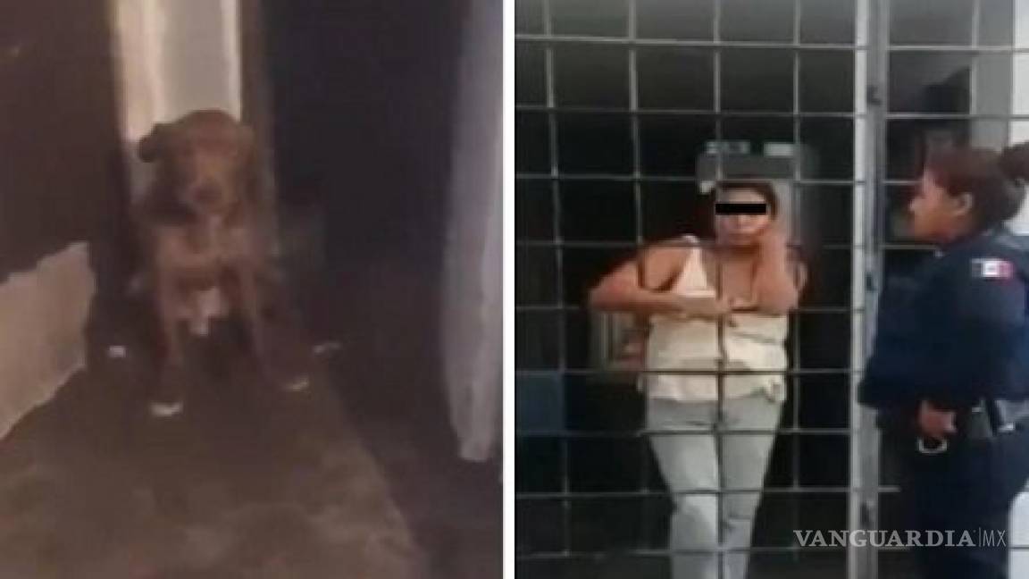 Mujer secuestraba perros para comérselos y vender su carne, en Puebla