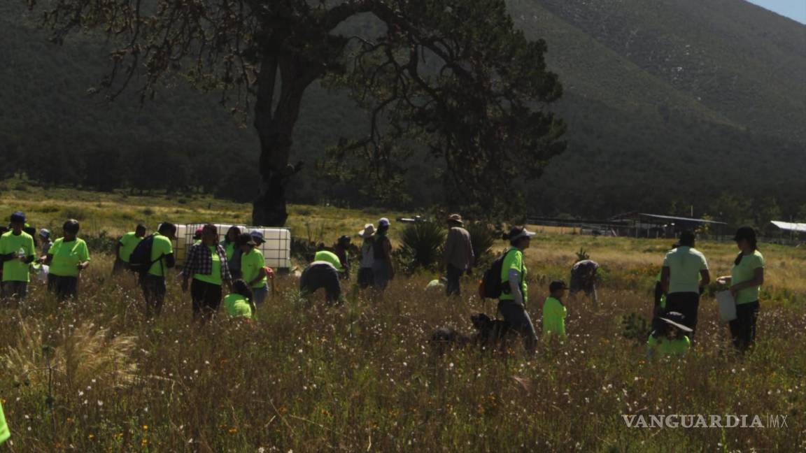 Apoya Tu Bosque Local y voluntarios plantan más de dos mil árboles en sierra de Arteaga.