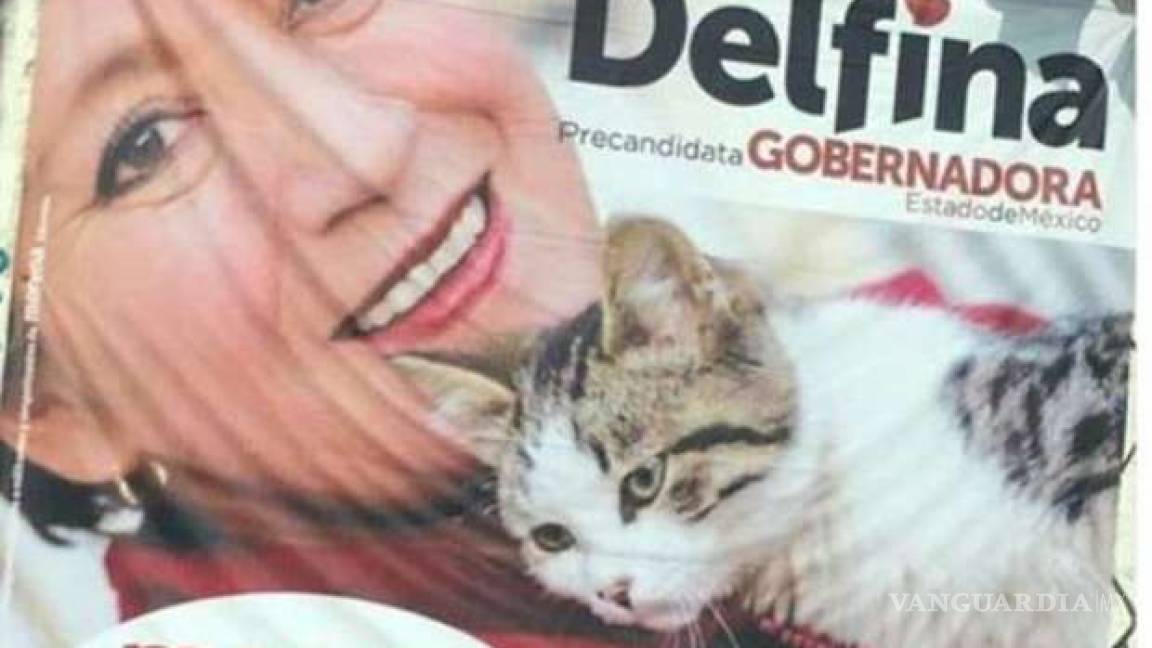 Campaña de Delfina Gómez se hace viral gracias a los gatitos