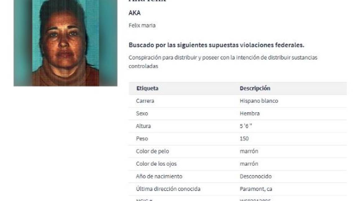 $!'Armadas y peligrosas'... ellas son las 6 mujeres del narco que la DEA no ha podido atrapar