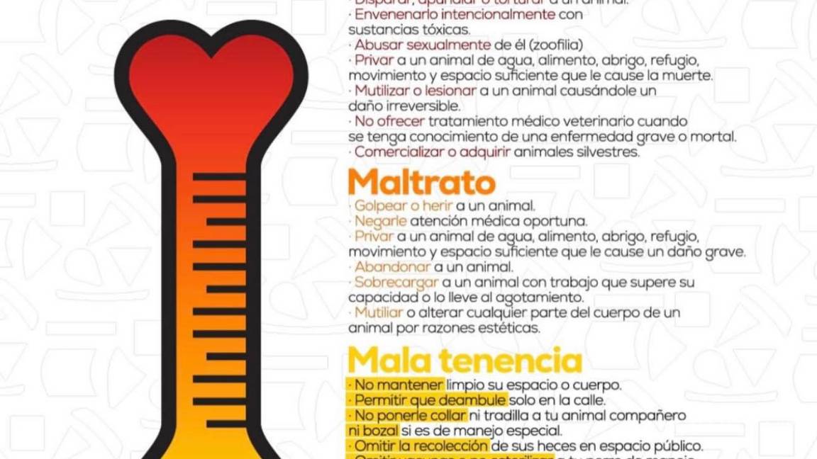 $!Casos extremos como tortura, envenenamiento o abuso sexual representan el nivel de crueldad, recordando la importancia de denunciar cualquier acto de violencia hacia los animales.
