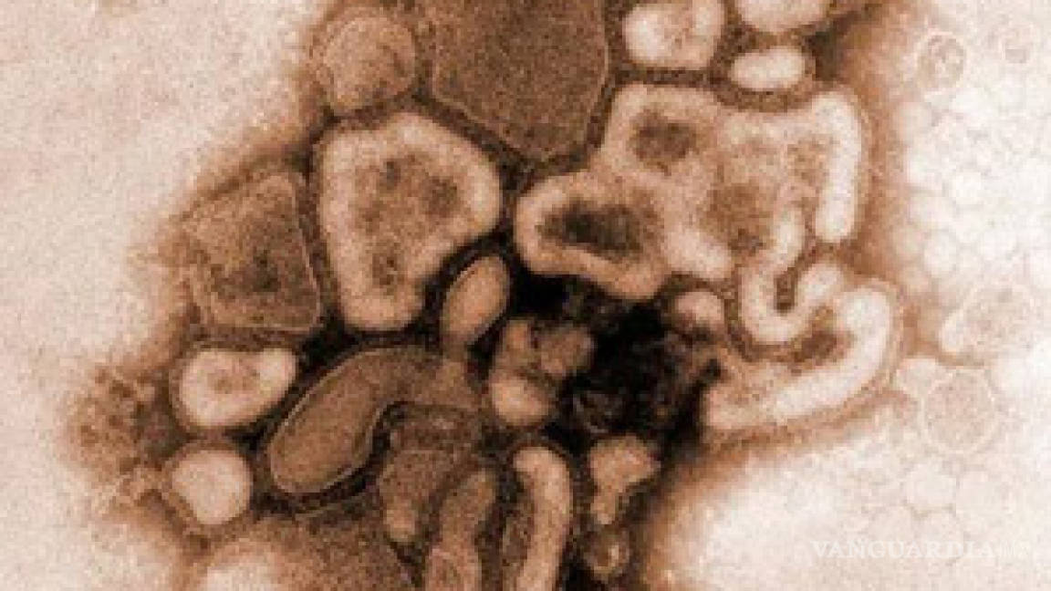 Detectan una grave mutación del H1N1 en Francia