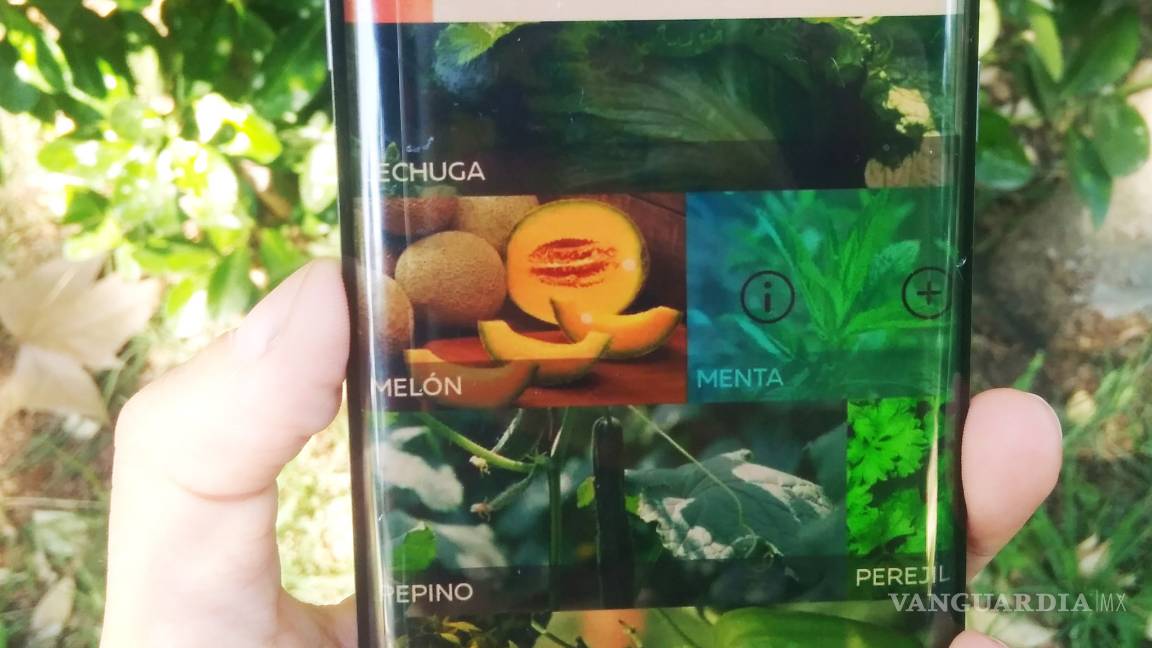 $!“Eco-Apps”, la conciencia verde para los celulares