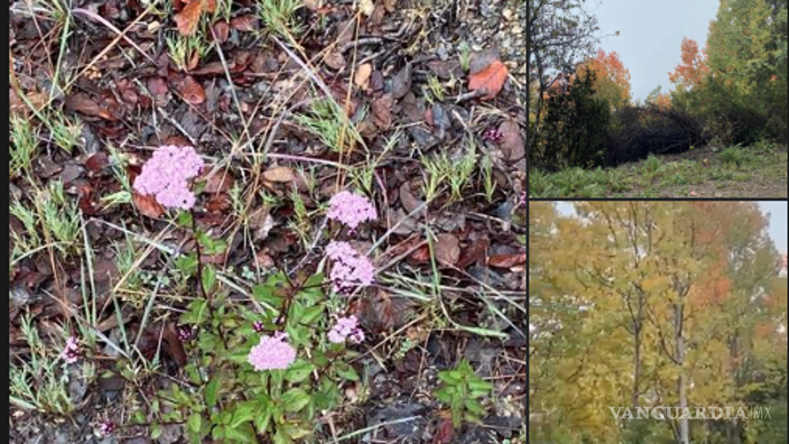 $!‘Amo la montaña’; las últimas fotos y el video que publicó senderista extraviada en la sierra