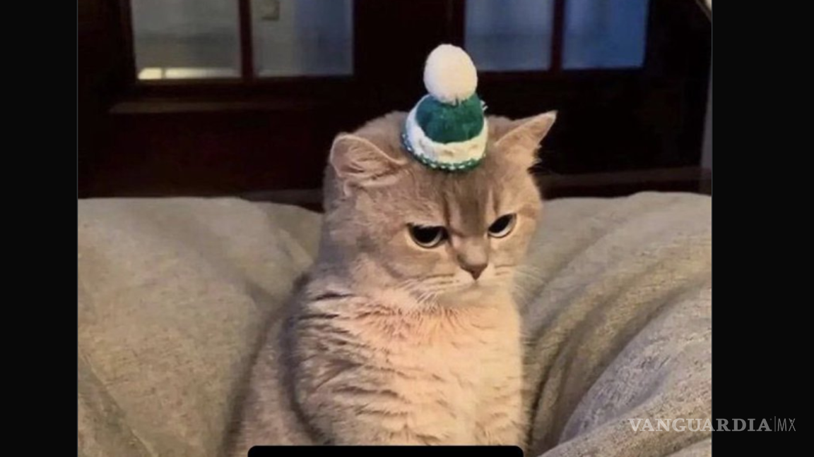 $!Cinemex cambia de imagen y desata ola de reacciones: estos son los mejores memes sobre el nuevo logo