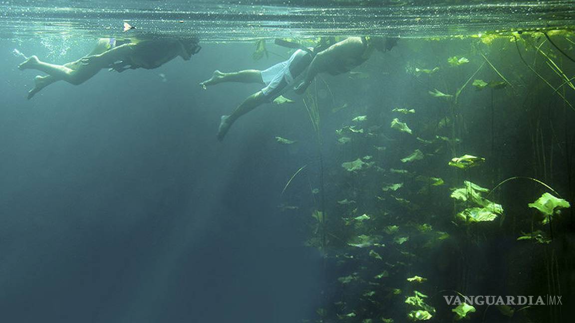 $!Reguardan cenotes y cuevas de la Riviera Maya grandes enigmas prehistóricos