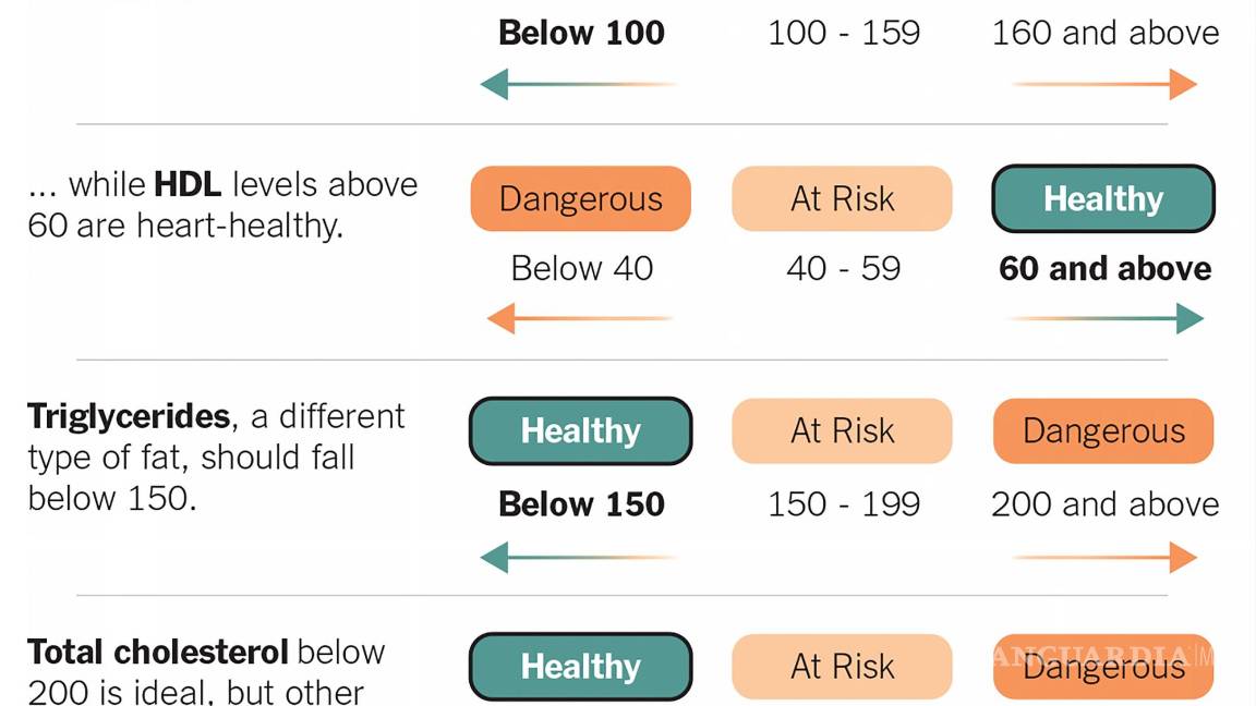 $!Para la mayoría de las personas, el LDL debe estar por debajo de 100 mg/dl, y cuanto más bajo, mejor.