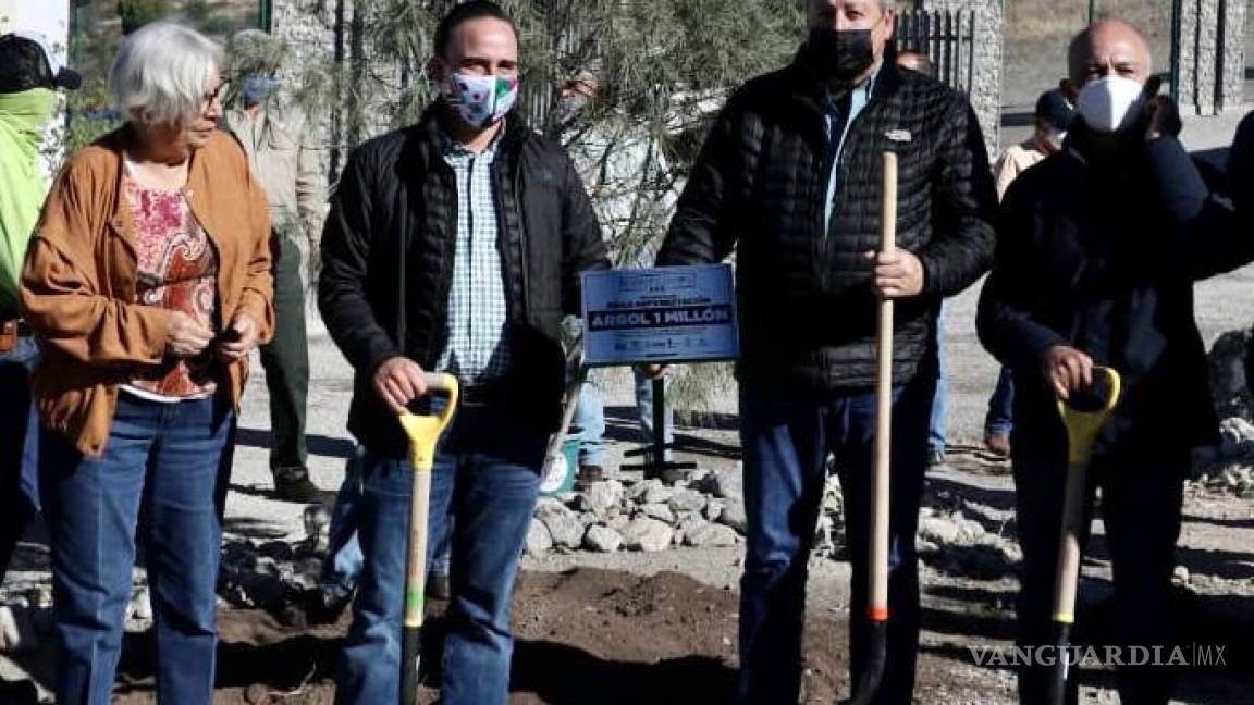 Árboles en áreas verdes deSaltillo valen 8 mil 363 mdp