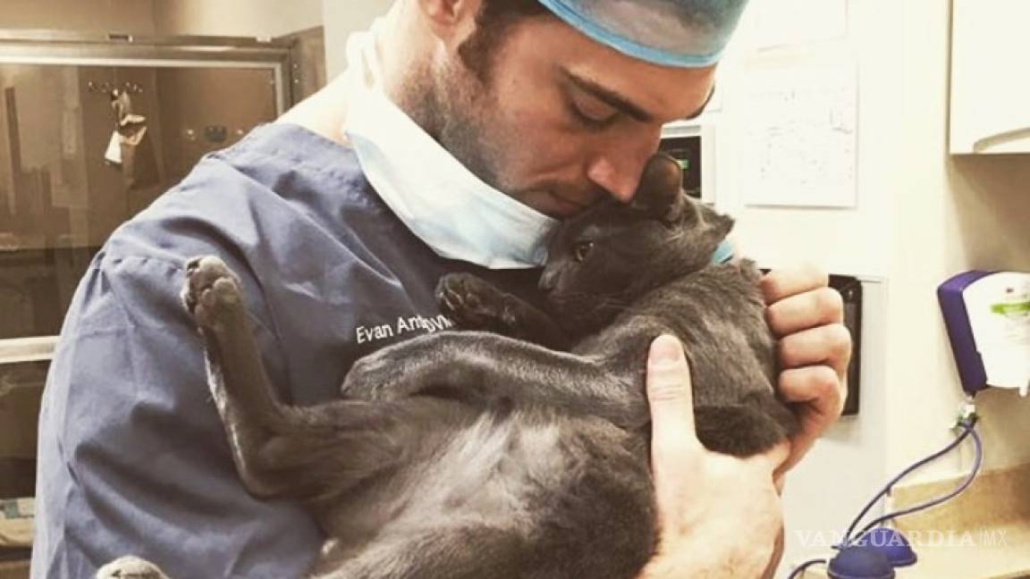 ¿Cómo saber si el veterinario que ve a tu mascota es bueno?