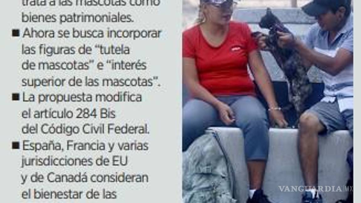 $!¿Quién se queda con el perro?, tras un divorcio