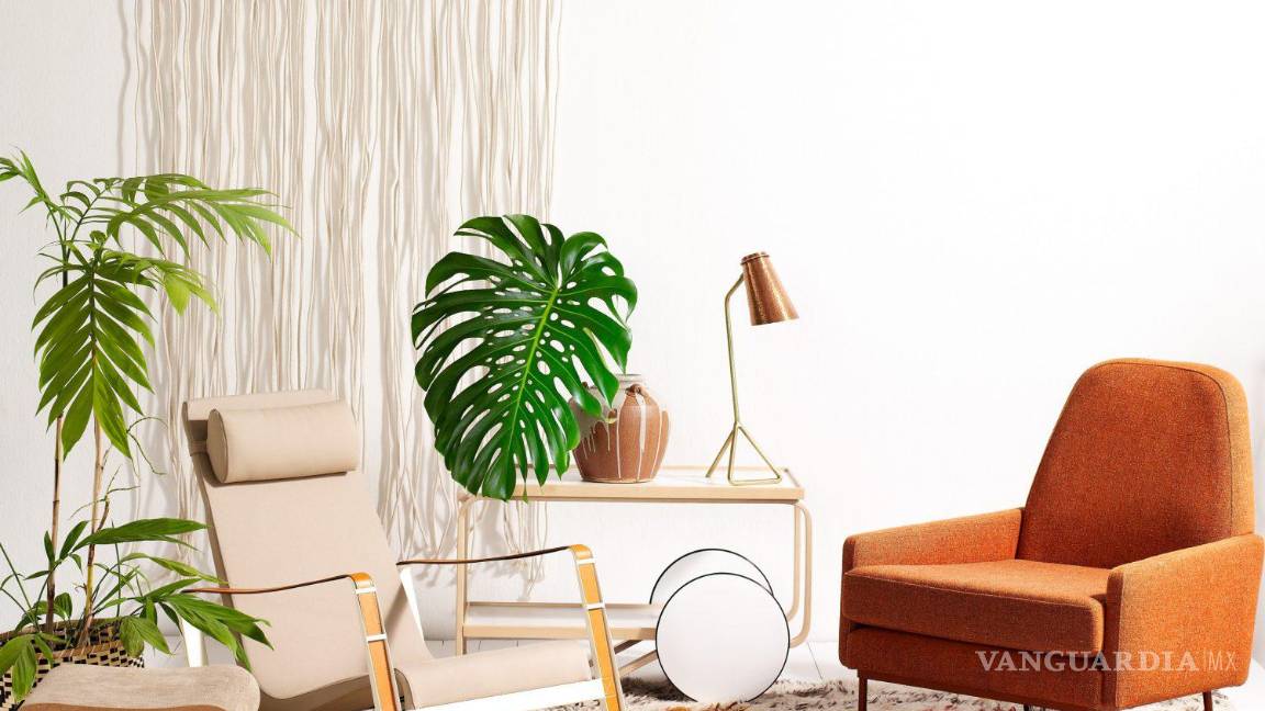 $!No hay nada más clásico que un porta maceta de macramé, que en colores neutros o beige quedarán genial con el verde de tus plantas y aportarán frescura a cualquier rincón.