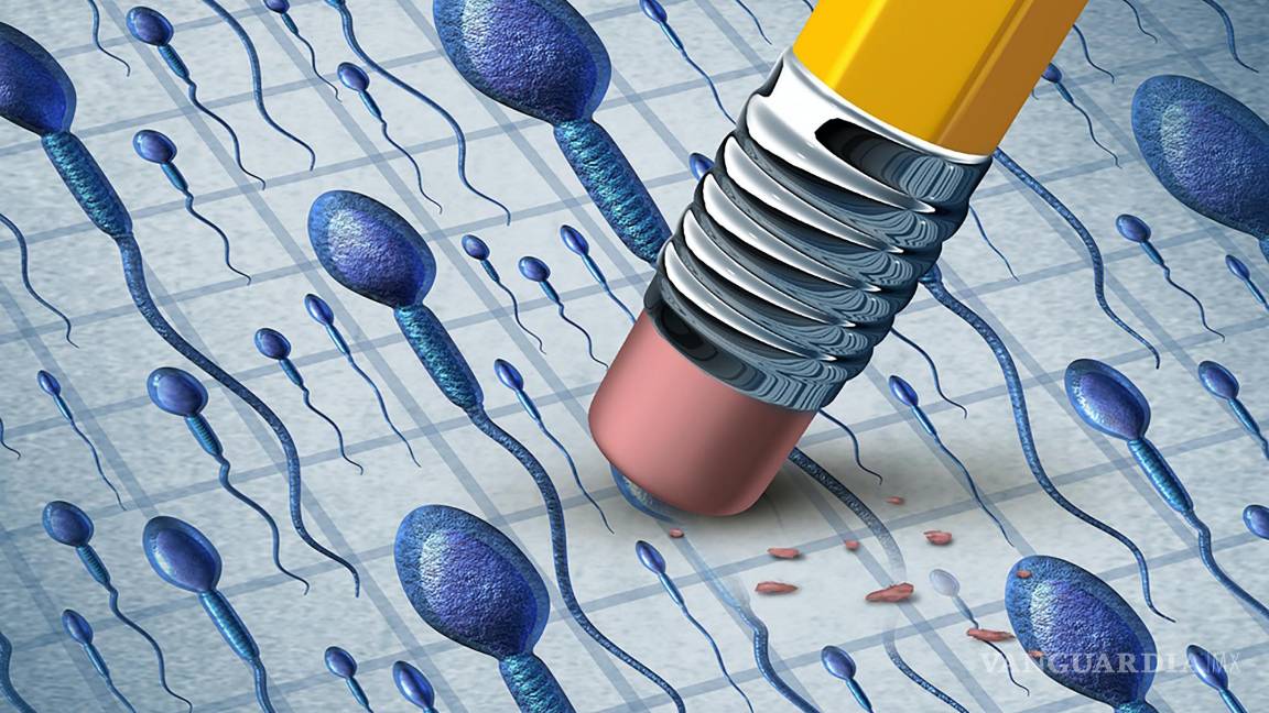 $!La calidad biológica del semen humano está en declive, según distintas investigaciones.
