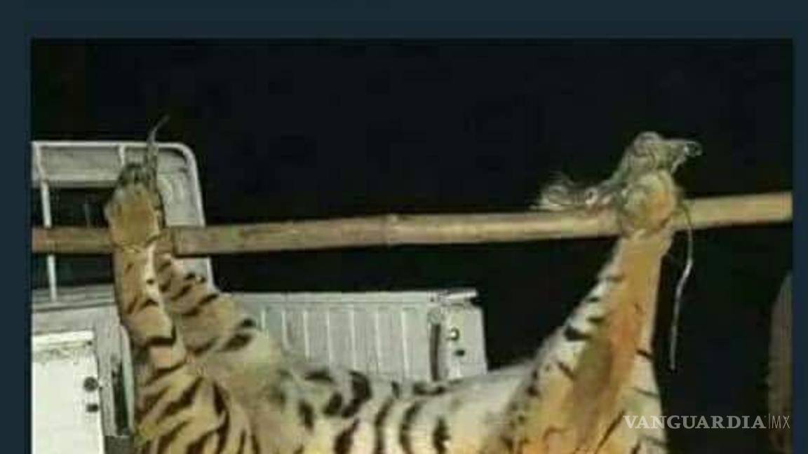 $!Los memes de la eliminación de Tigres por el Zacatepec