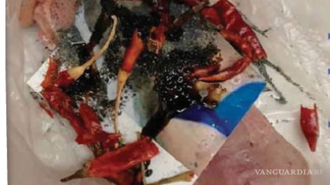 $!Exhiben brujería de Geraldine Bazán en panteón; brujo desentierra 'trabajito' para desfigurar a Irina Baeva