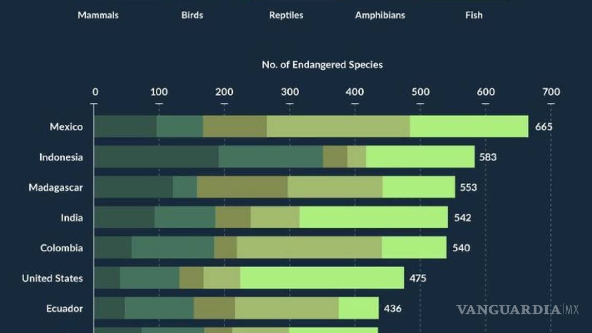 $!México ocupa un muy lamentable primer lugar con más especies en peligro de extinción del mundo