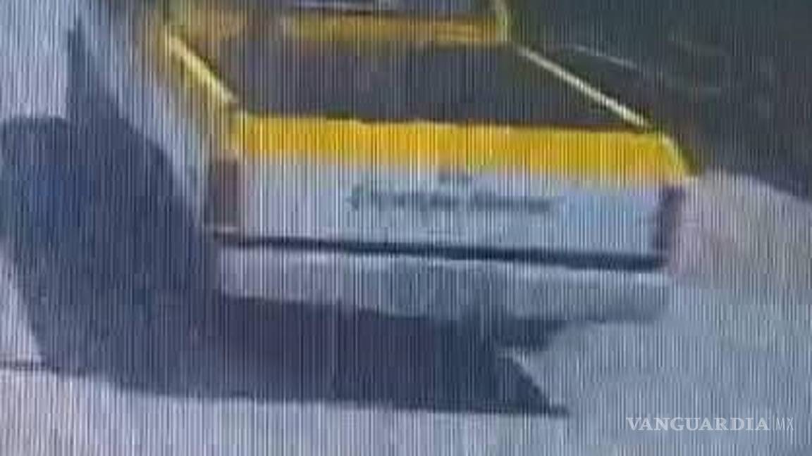 $!El perro abandonado presentaba desnutrición severa y más de 400 garrapatas en su cuerpo.