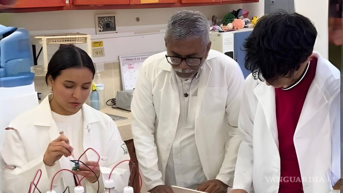 $!El proyecto genera electricidad a partir de residuos agroindustriales bajo un modelo de economía circular y escalamiento tecnológico.