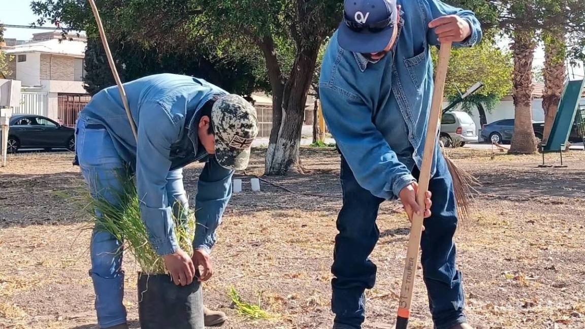 $!Voluntarios y personal de Servicios Públicos plantaron árboles y otras especies, transformando el espacio en un área verde y mejorando la calidad del aire para los vecinos del Fresno.