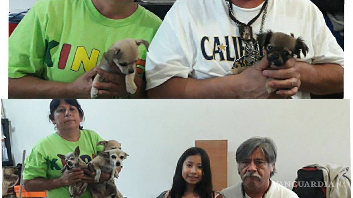 $!Pierden todo por el huracán Hanna, pero salvan a sus 7 perros