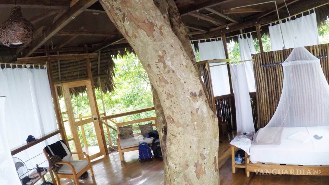 $!Estos son los hoteles más curiosos