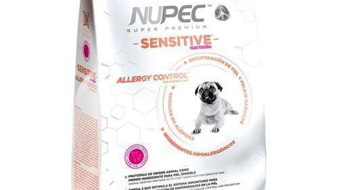 $!¿Pro Plan, Campeón o Dog Chow?... según Profeco, estas son las peores marcas de croquetas y las más dañinas para tu perro