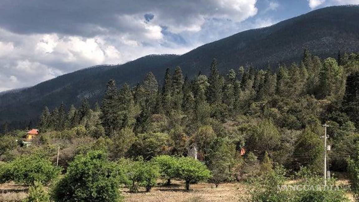 Controla bomberos de Arteaga incendio en Los Lirios