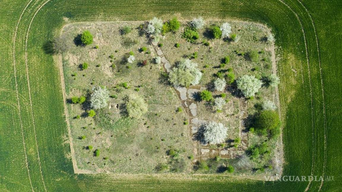 $!Mira cómo festeja el Día de la Tierra sus primeros 50 años con una pandemia global por el COVID-19