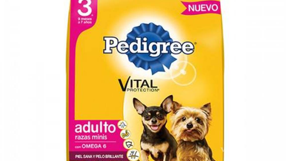 $!¿Pro Plan, Campeón o Dog Chow?... según Profeco, estas son las peores marcas de croquetas y las más dañinas para tu perro