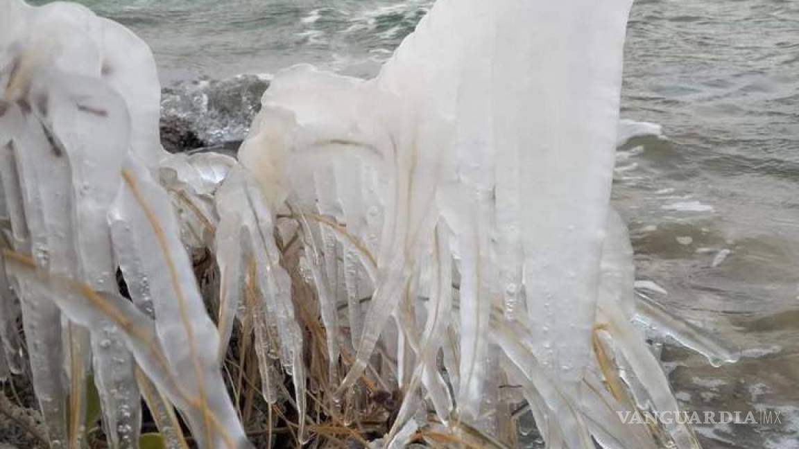 Ocho grados bajo cero dejó hielo en Cuatro Ciénegas