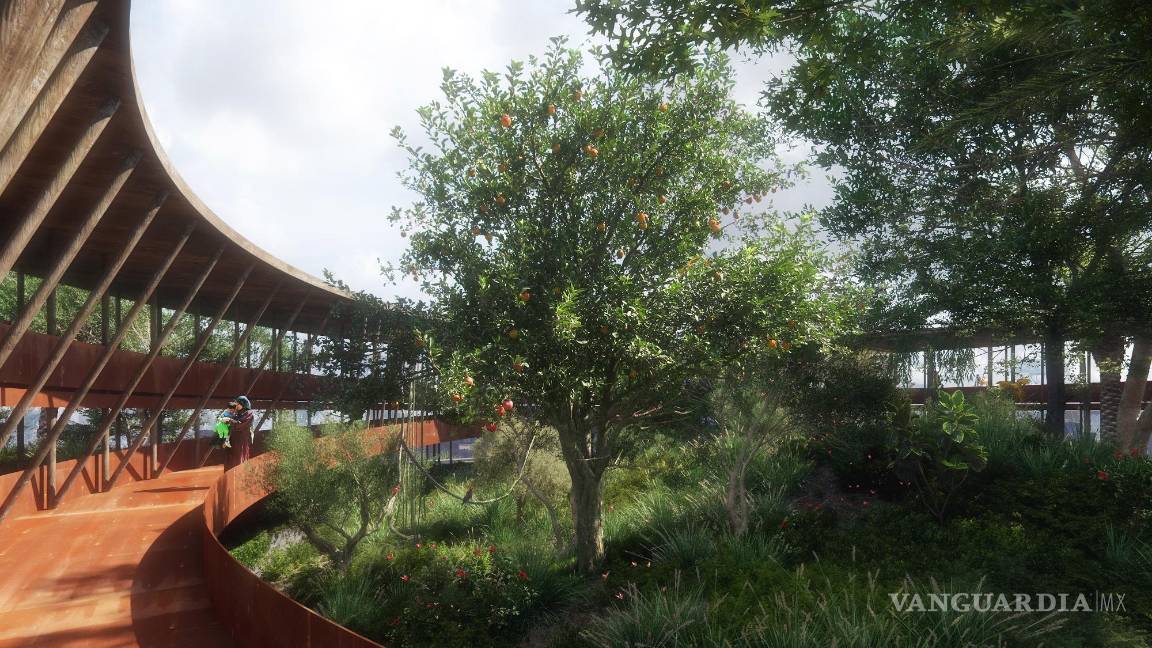 $!Dentro de cada torre de agua reutilizada se plantarán distintas especies vegetales.