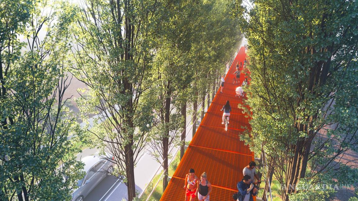 $!El ‘Camino de los Árboles’, visto desde arriba.