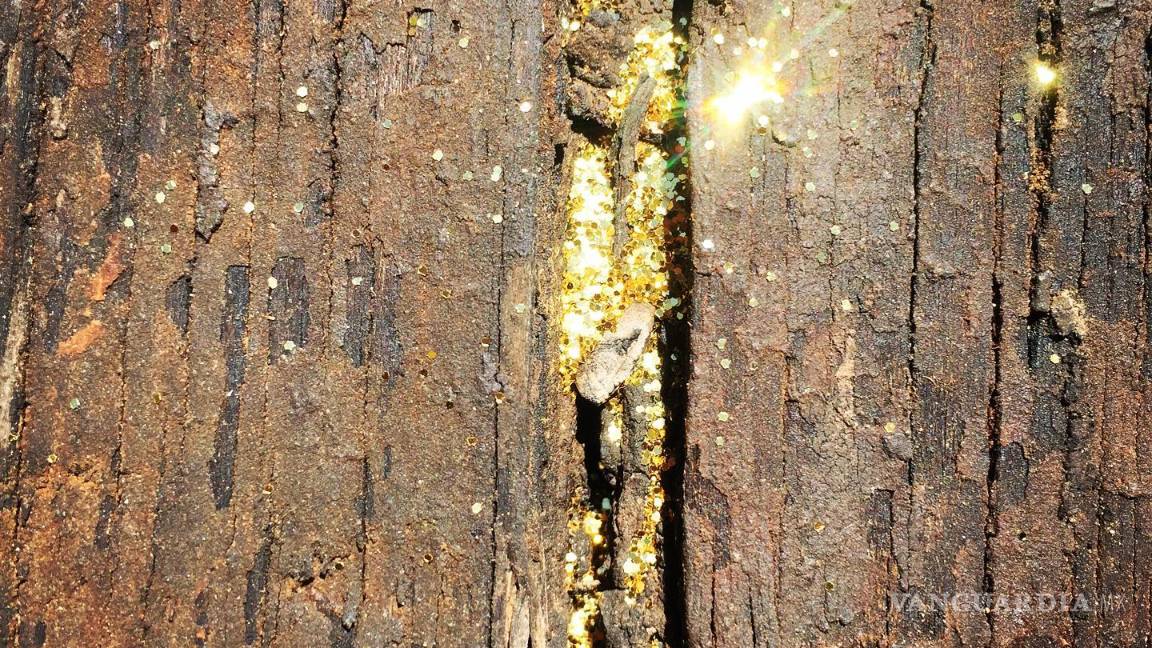 $!Mujeres coahuilenses con un objetivo