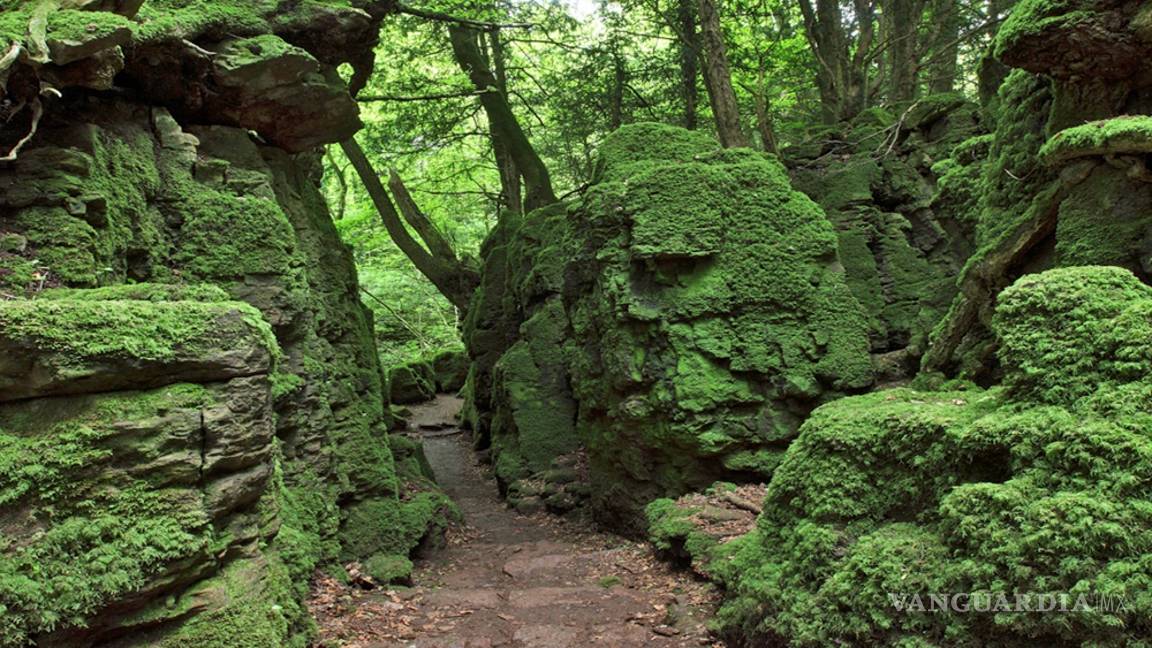 $!Haga un viaje mágico siguiendo los pasos de Harry Potter en Gran Bretaña