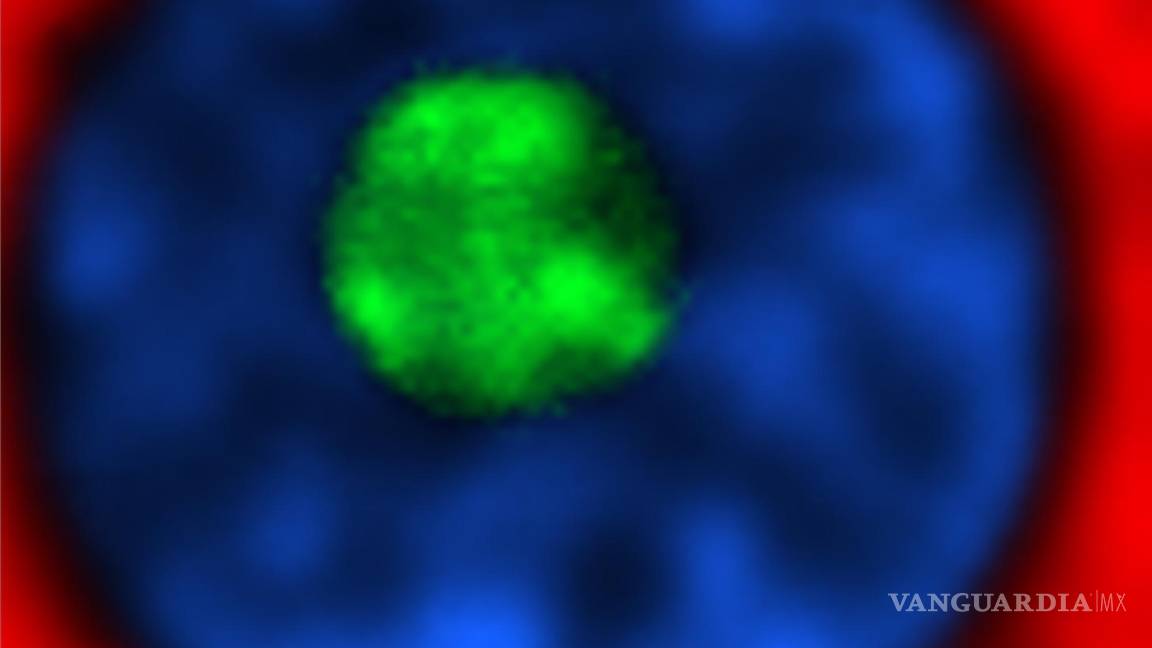 $!Núcleo líquido de una fibra en color verde fosforescente.