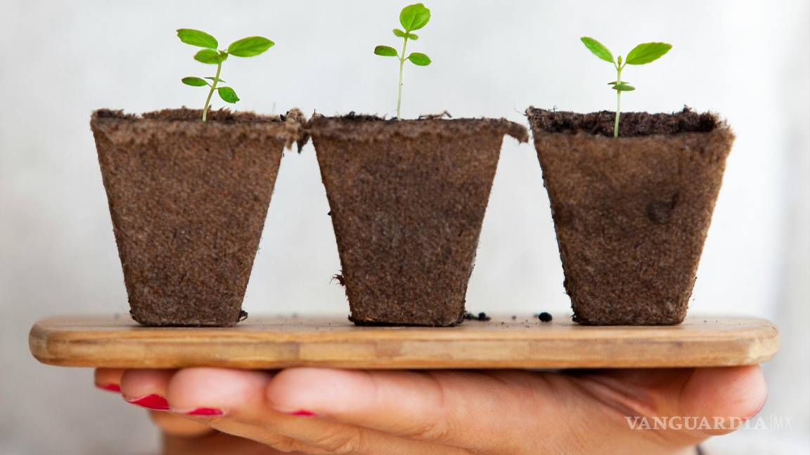 $!Adopta el minimalismo y compra solo lo que realmente necesitas. Evita el consumo excesivo y los productos desechables.