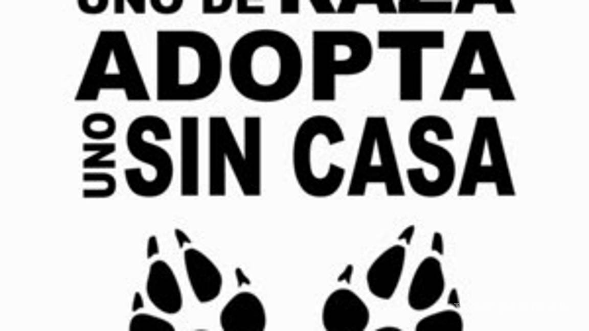 $!Esto pide Peter Dinklage a los seguidores de ‘Game of Thrones’