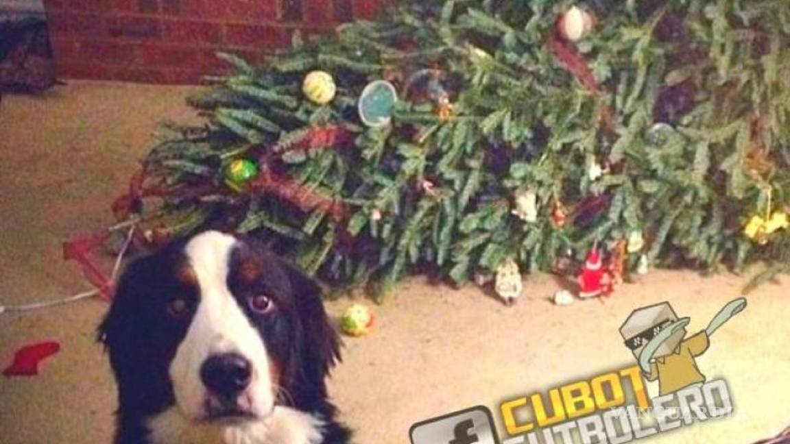 $!El América también perdió contra el Real Madrid en memes