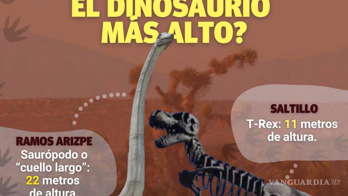 $!Tiene Ramos Arizpe dinosaurio más grande de la región; su cuello largo es 2 veces más alto que T-Rex de Saltillo