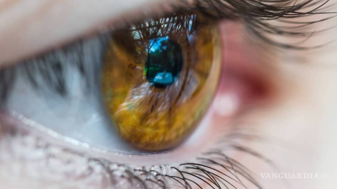 $!Con Inteligencia artificial detectan la retinopatía diabética en México