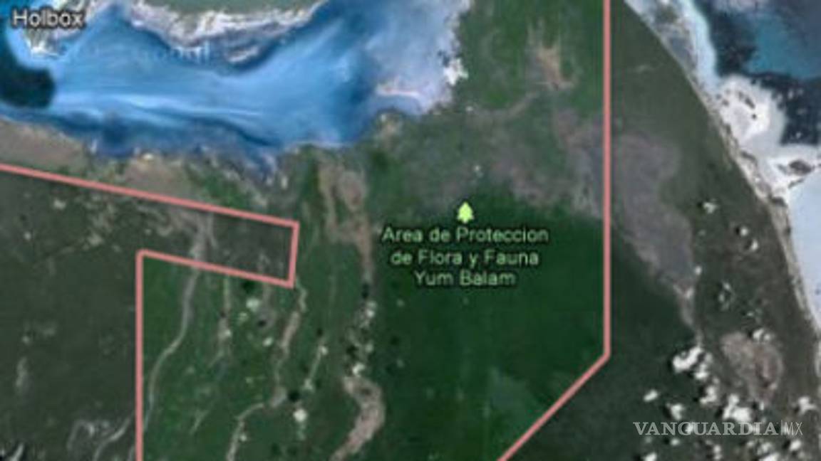 $!Empresa donde trabaja Carolyn Adams, nuera de AMLO, beneficiada con cesión de terrenos en Holbox