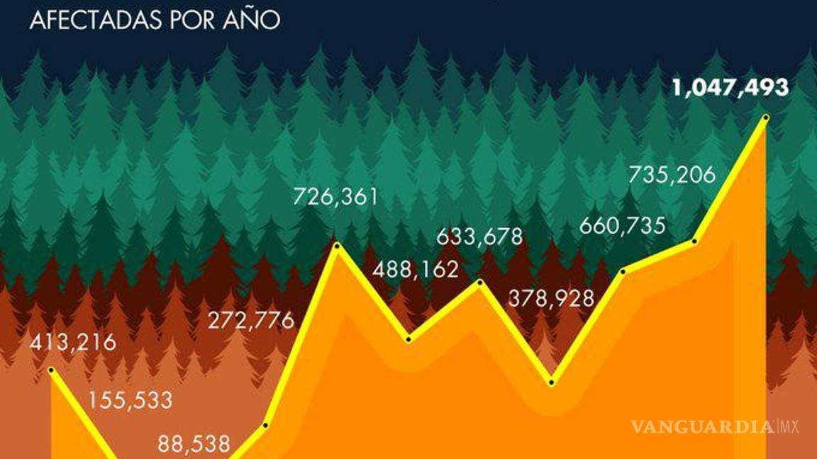 $!Aumentan los incendios forestales en el país, Conafor reporta casi 200