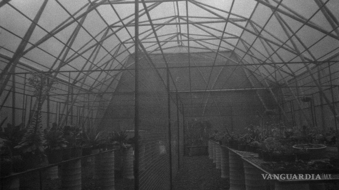 $!Mujeres coahuilenses con un objetivo