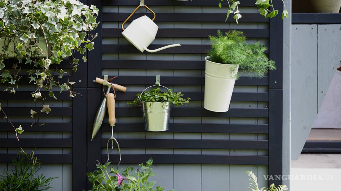 $!¿Te gustaría consumir productos naturales y cuidar el medio ambiente? ¡Haz tu propio huerto en casa!